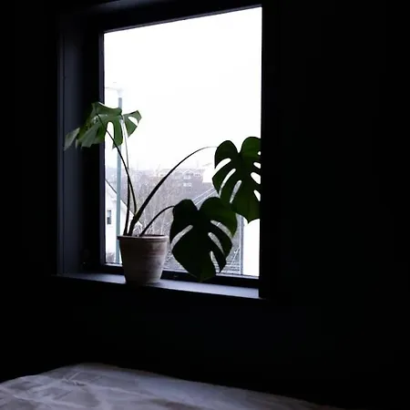 Charming In Central Stavanger