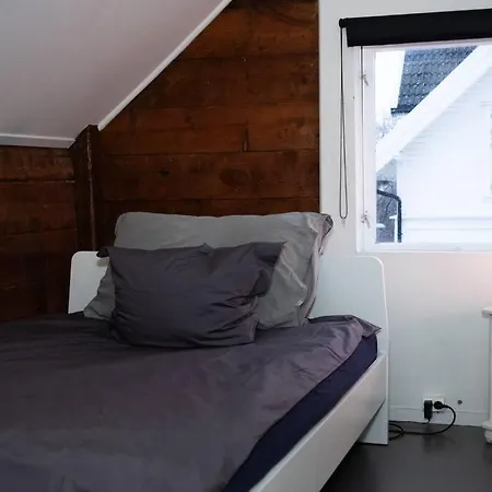 Charming In Central Leilighet