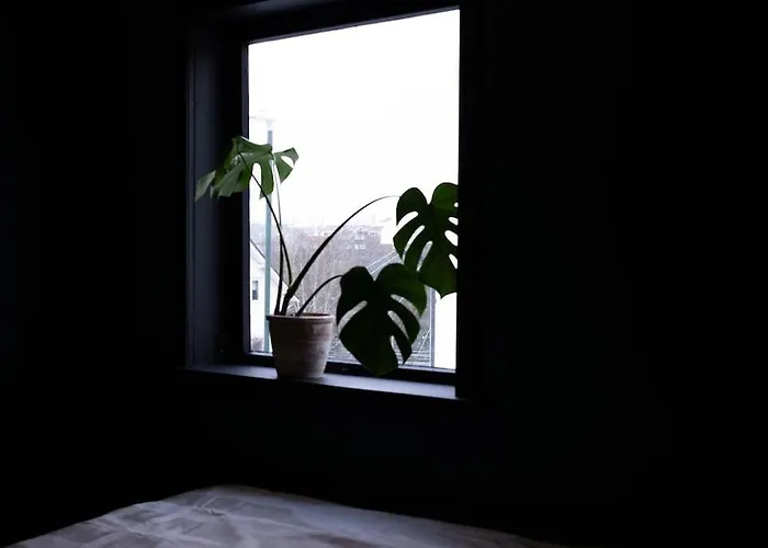 Charming In Central Στάβανγκερ